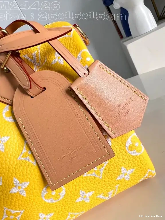 Aaa replica bags 25 Louis SPEEDY Vuitton 0529